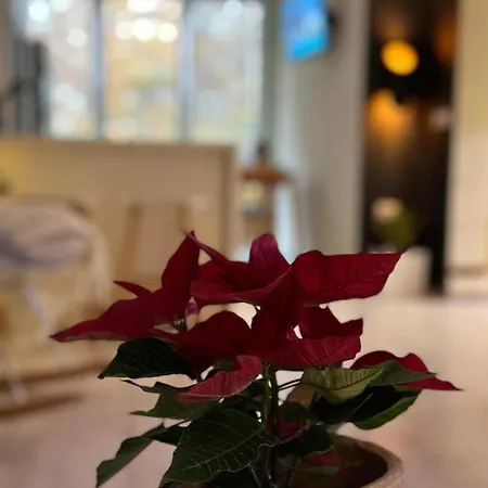 Klt Blloku Center * Tiran