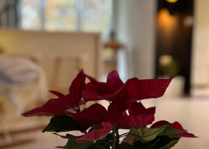 Klt Blloku Center * Tirana